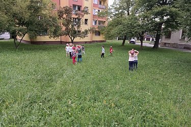 Obrázek č.12